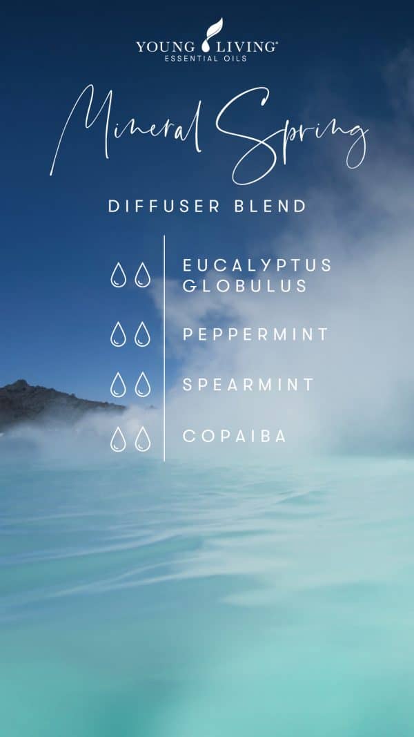 5-spa-inspired-diffuser-blends_Mineral-Spring-Diffuser-Blend