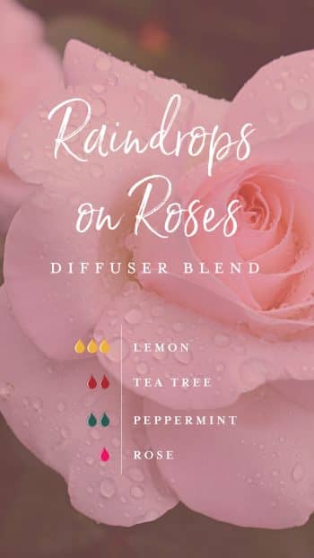9-water-inspired-diffuser-blends_Raindrops-on-Roses