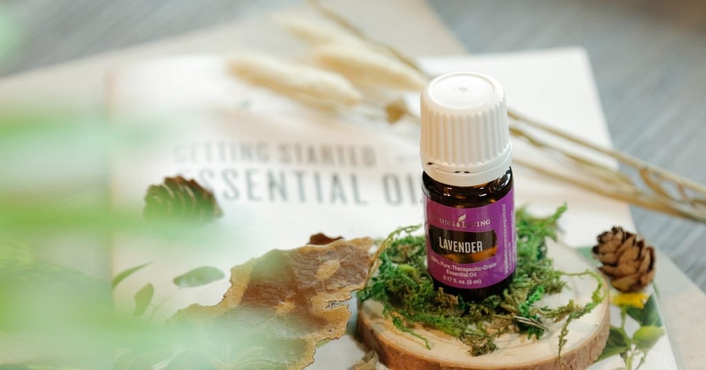 young living lavender essential oil