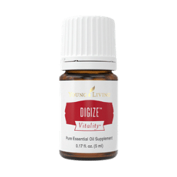 Digize Vitality PNG