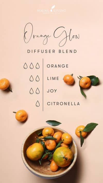 Squeaky-clean-scents-7-diffuser-blends-to-fake-a-clean-house_Sea-Air-Diffuser-Blend