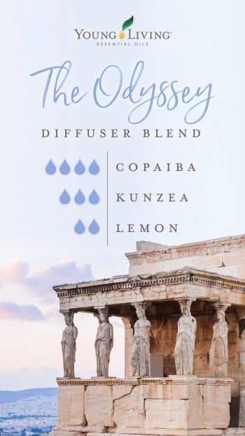 10-diffuser-blends-for-book-lovers_The-Odyssey-Diffuser-Blend